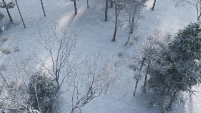 超宽屏视频素材森林雪景小屋