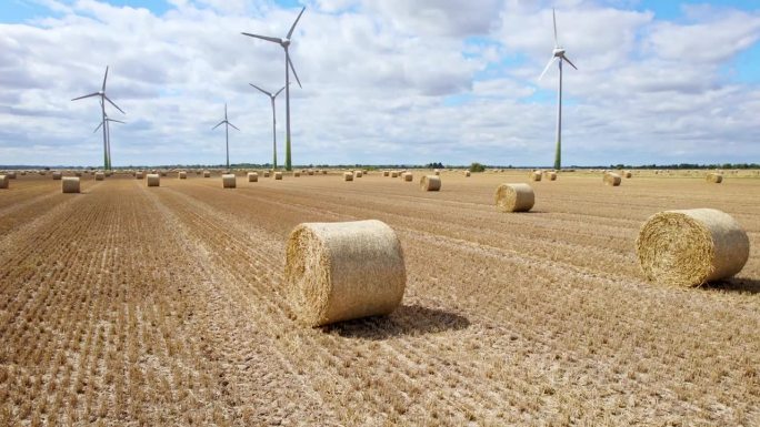 航拍画面展示了一幅令人惊叹的景象:林肯郡农民刚收割的田地里，一系列风力涡轮机在旋转，前景是金色的干草