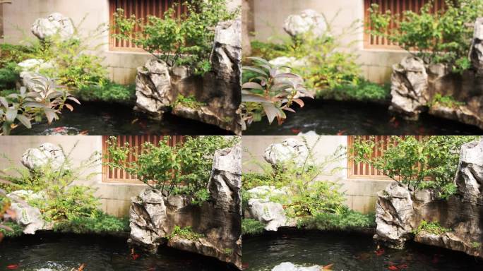 杭州径山寺 许愿池 锦鲤 慢镜头