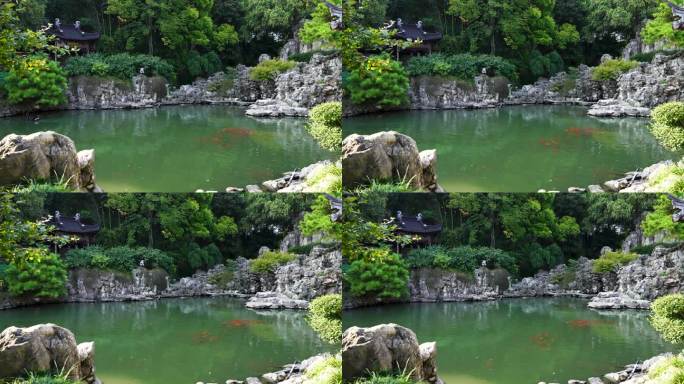 江南园林南京瞻园庭院中的池塘和假山石风光