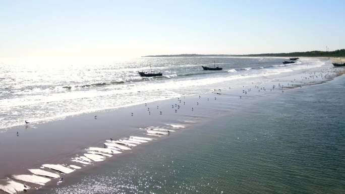 海浪 海鸥