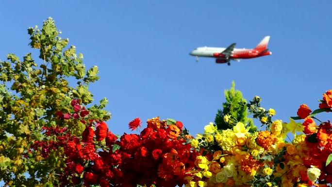 天空中的飞机以鲜花为背景(慢动作)