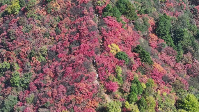 西安鄠邑圭峰山