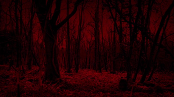 走在可怕的红色森林侧面(POV