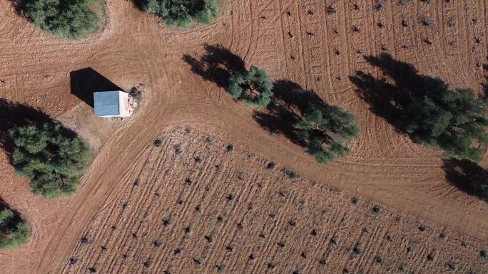 在阳光明媚的日子里，无人机拍摄的农田、橄榄树和枯萎的葡萄园。
