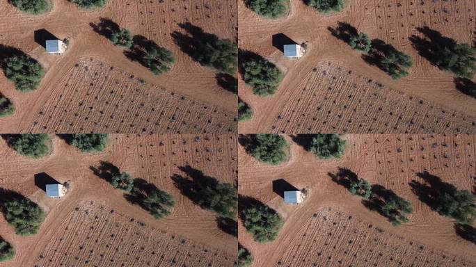 在阳光明媚的日子里，无人机拍摄的农田、橄榄树和枯萎的葡萄园。