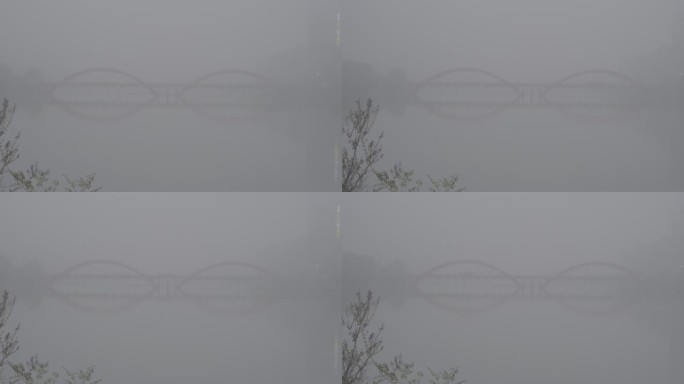 公交车在大雾中的桥上行驶