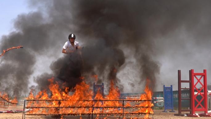 马术运动员表演马术 马跃过火焰