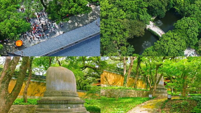 航拍普陀山法雨寺普济寺