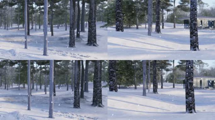超宽屏视频素材森林雪景小屋