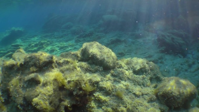 摄像机通过浅水上方的太阳斜射光线移动。