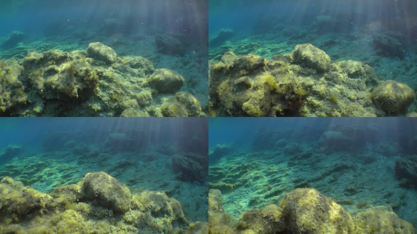 摄像机通过浅水上方的太阳斜射光线移动。