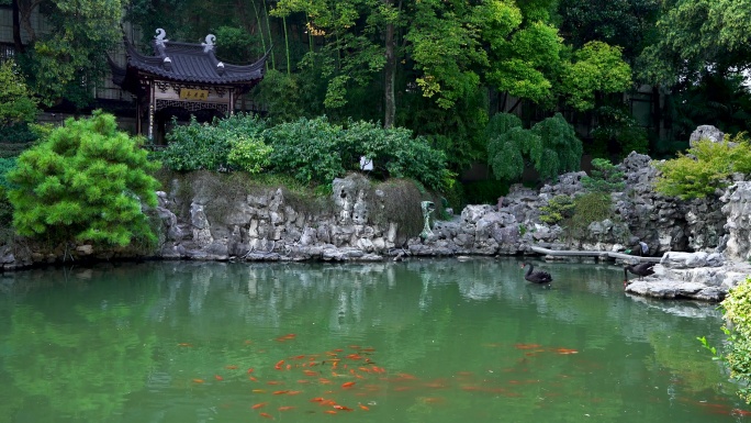 江南园林南京瞻园庭院中的池塘和假山石风光