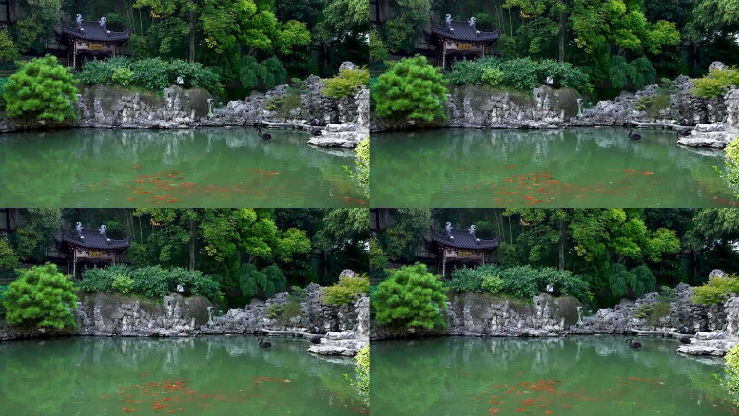 江南园林南京瞻园庭院中的池塘和假山石风光