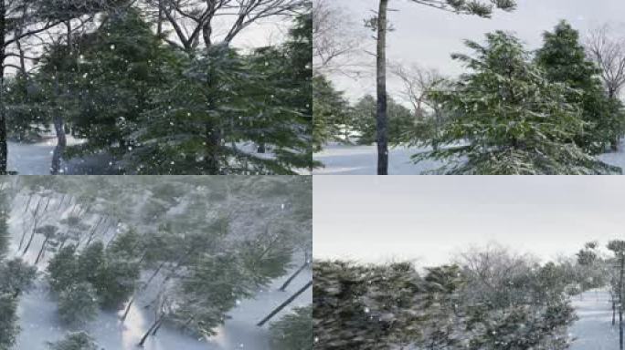超宽屏视频素材森林雪景