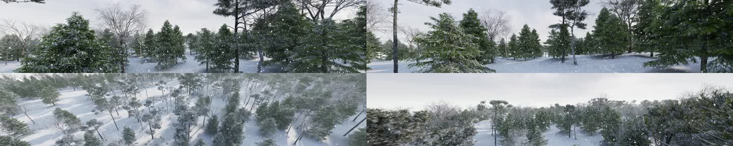 超宽屏视频素材森林雪景