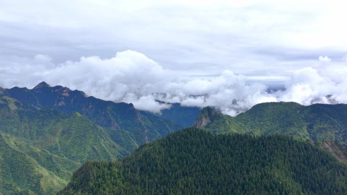 4k山峰云海云雾缭绕