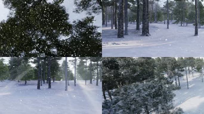 超宽屏视频素材森林雪景