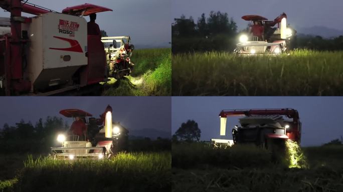 小型收割机夜晚工作灯光照耀稻田抢割水稻