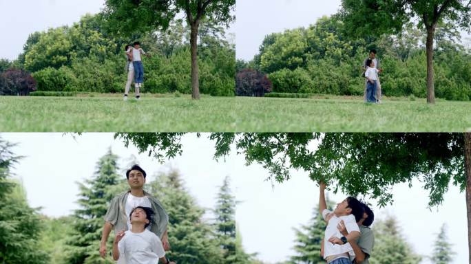 阳光明媚父子二人公园草坪一起玩耍亲近自然