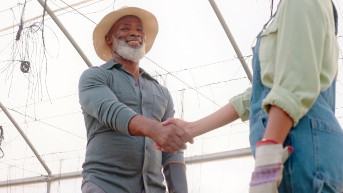 农场，男子和女孩在温室握手，为农业，农业产业和伙伴关系。生态合作，欢迎或感谢黑人妇女，老年农民和可持