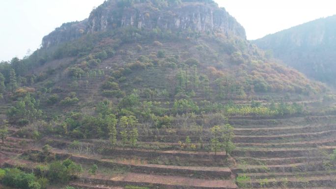 山东 枣庄 山亭 高山