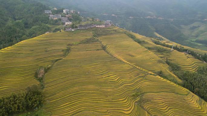 四组桂林龙胜瑶寨龙脊梯田缆车观景台