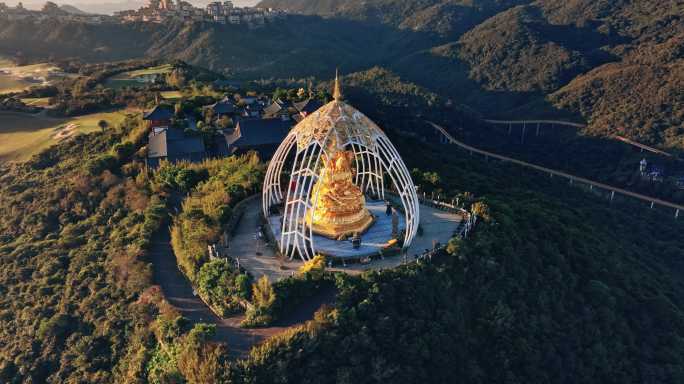 【正版素材】深圳大华兴寺日出0384