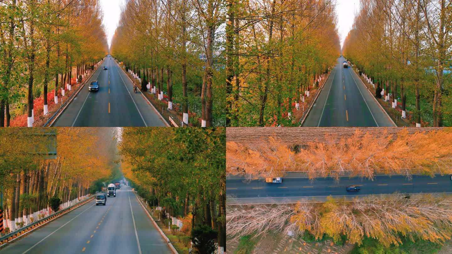 秋天的乡村公路
