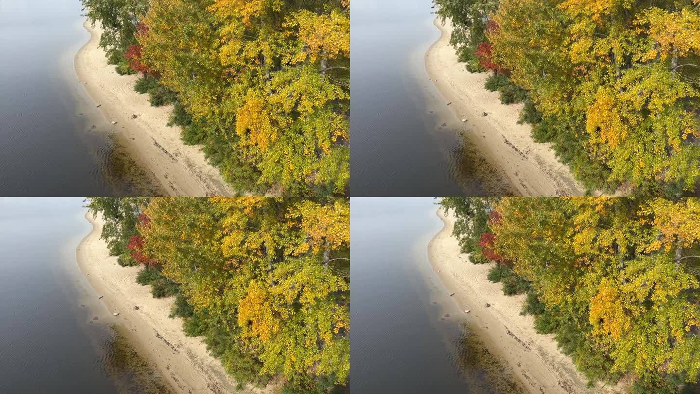 秋天的树林里，河岸上有红黄绿的树叶。