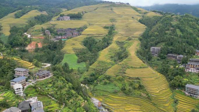 三组桂林龙胜瑶寨龙脊梯田山景楼房