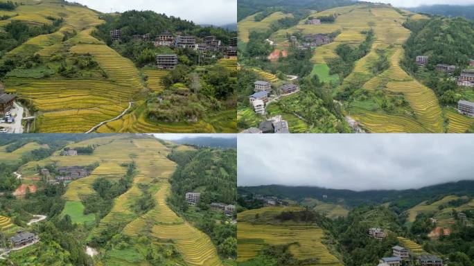 三组桂林龙胜瑶寨龙脊梯田山景楼房