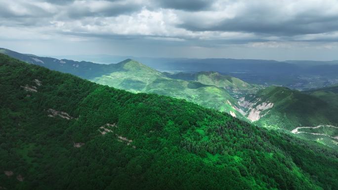 六盘山国家森林公园