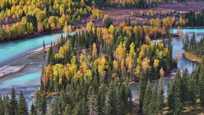 喀纳斯秋景