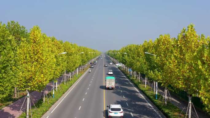 西安渭河河堤路