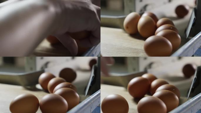 棕色的鸡蛋从生产传送带滚到农民手中