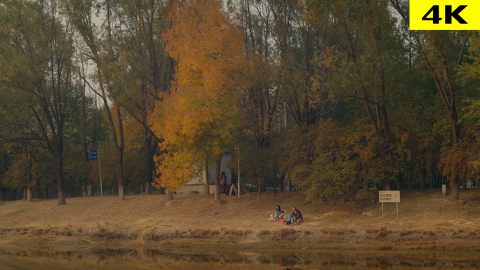 森林公园秋天踏秋一家人坐着树木温馨
