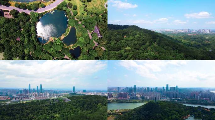 南宁青秀山景区 城市森林航拍