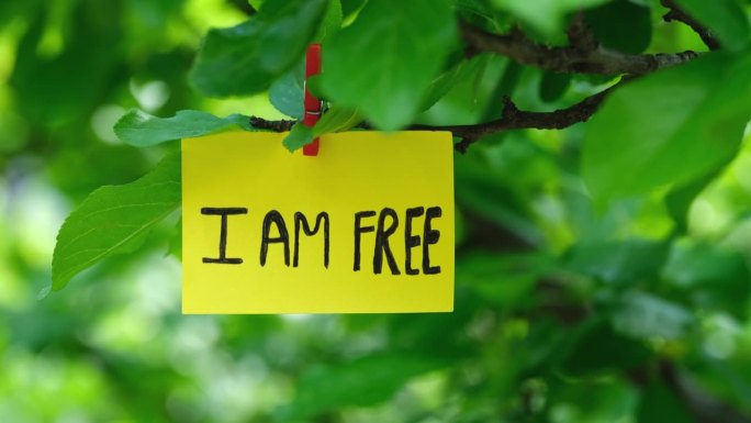 一张写着“我自由了”的黄色纸条，用别针别在树枝上。