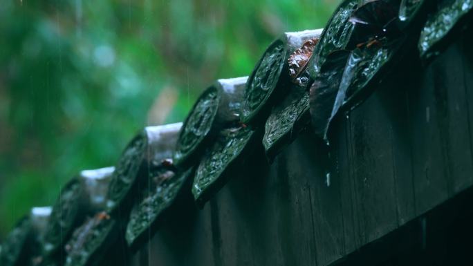 竹林屋檐下雨