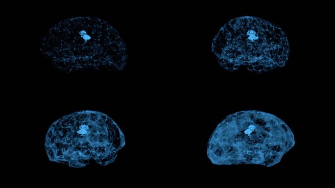 科技风low poly大脑生成动画