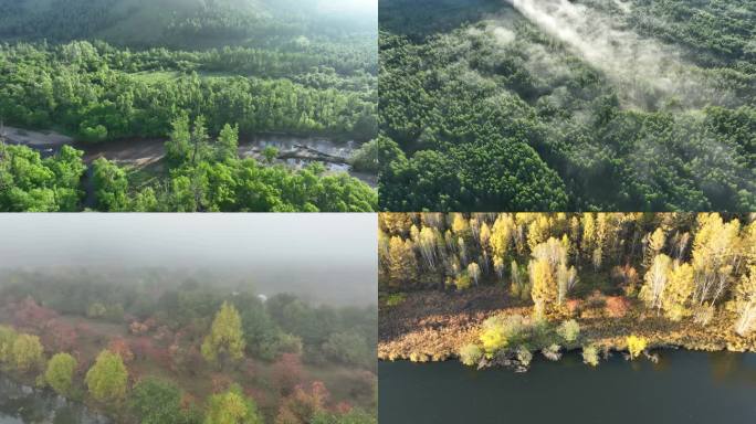 生态森林航拍合集