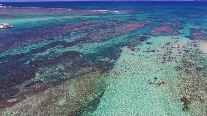 鸟瞰大气清澈见底的大海珊瑚海