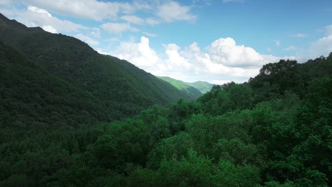 六盘山国家森林公园