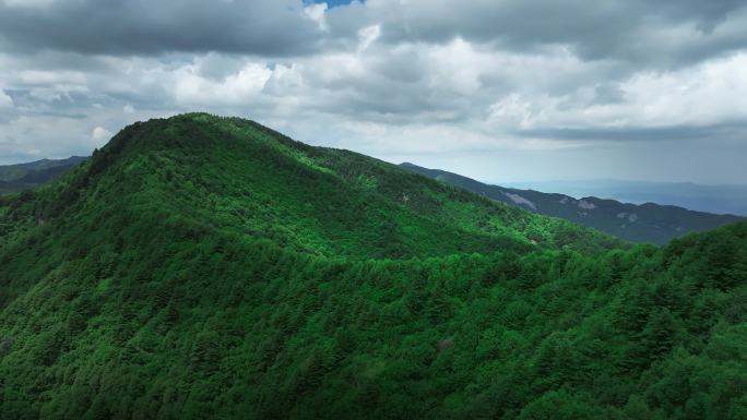 六盘山国家森林公园