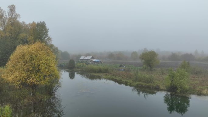 晨雾中的河岸农舍