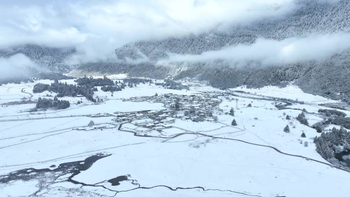 [合集]西藏林芝鲁朗林海雪原冬天雪景航拍