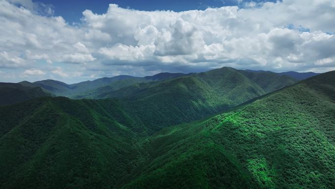 六盘山国家森林公园