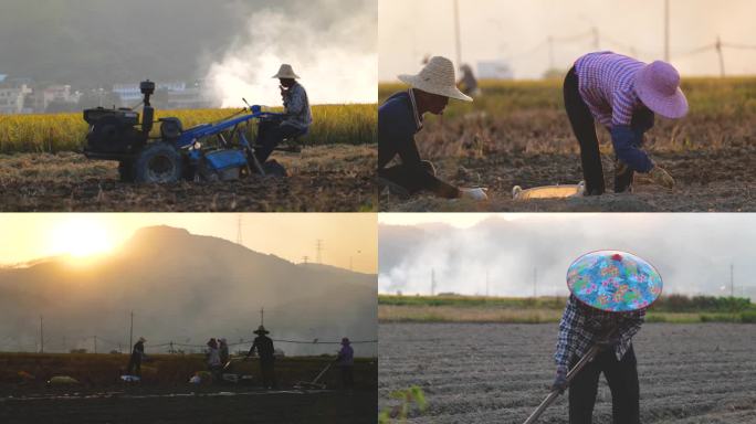 乡村振兴耕地种地农民劳作