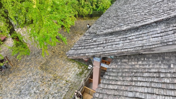 重庆铜梁巴岳山慧光寺银杏树航拍